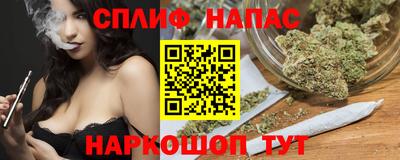 шишки Будённовск