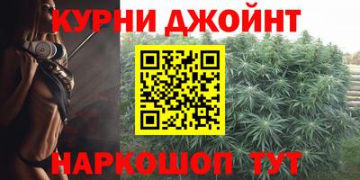 шишки Будённовск