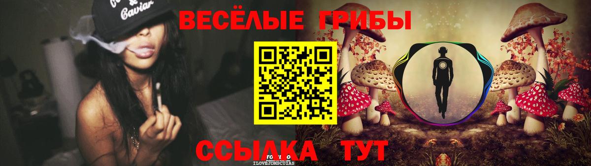 Псилоцибиновые грибы прущие грибы  Вход с VPN  Кызыл 